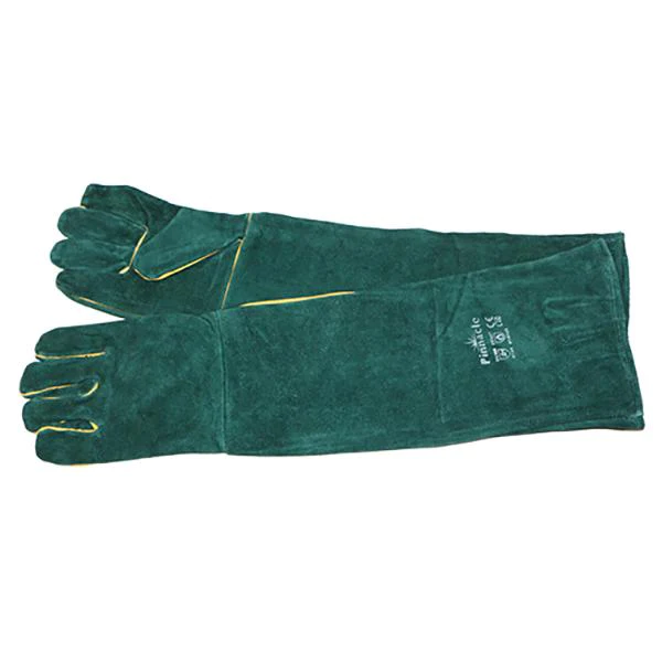 Green lined glove shoulder length 16"
